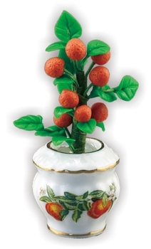 Апельсиновое дерево в вазоне