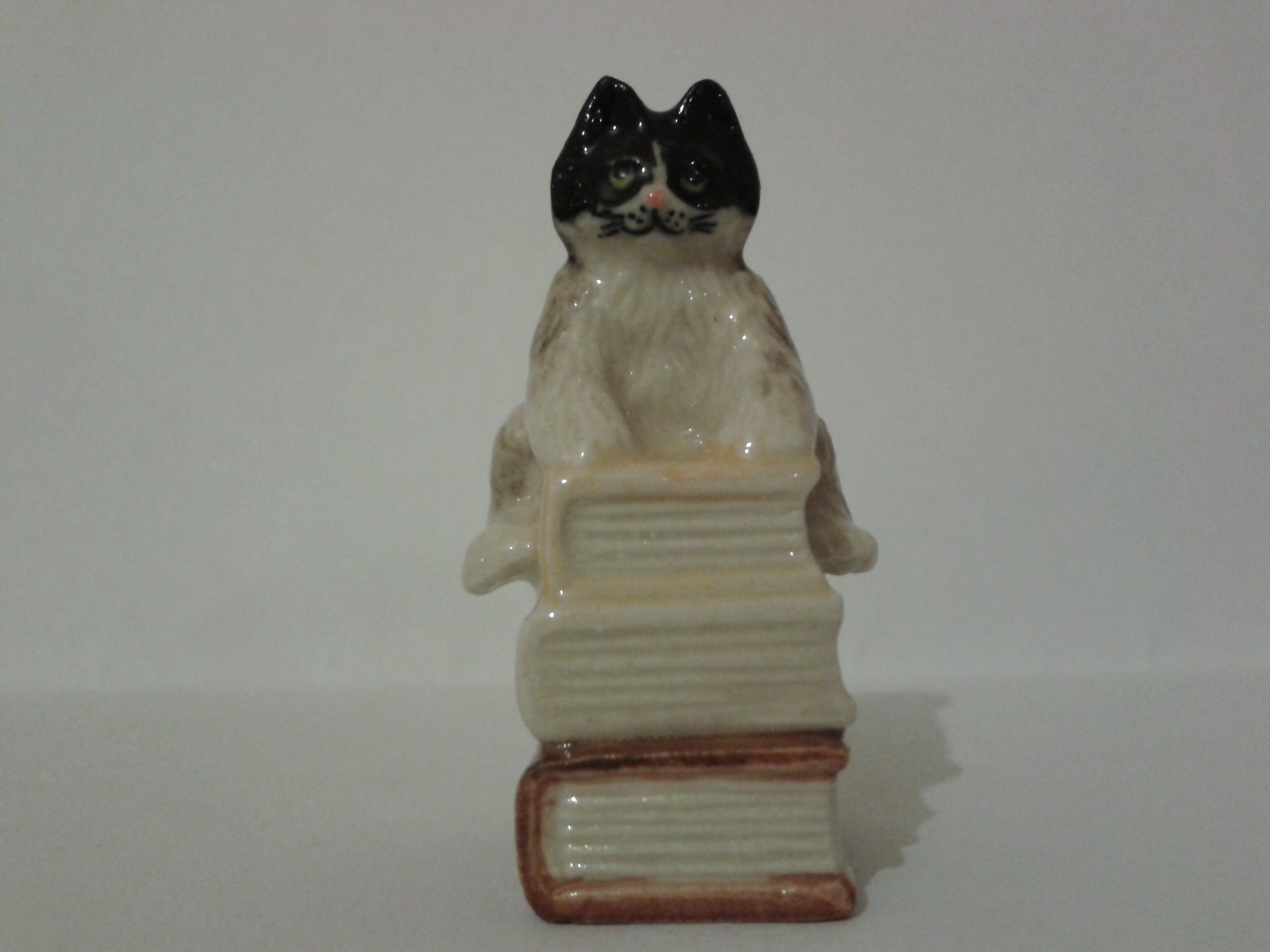 Кот на книгах